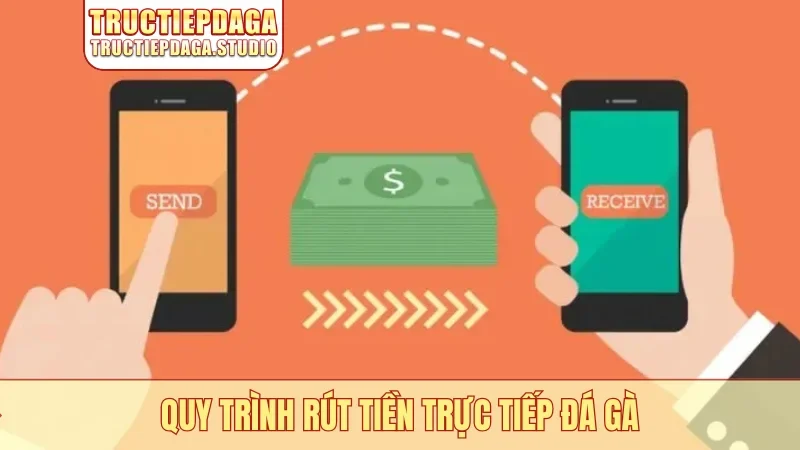 Quy trình rút tiền trực tiếp đá gà
