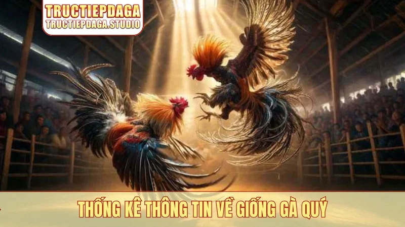 Thống kê thông tin về giống gà quý