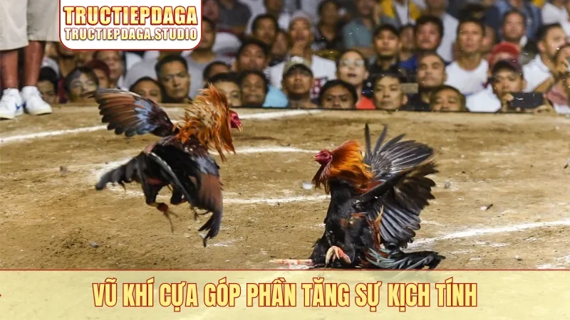 Vũ khí cựa góp phần tăng sự kịch tính