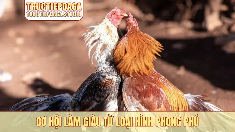 Cơ hội làm giàu từ loại hình phong phú